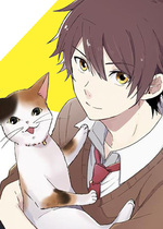 三花猫猫部