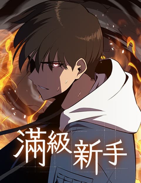 满级新手
