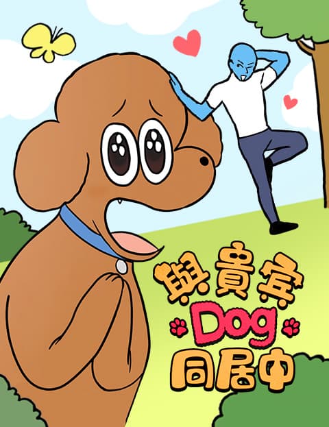 与贵宾Dog同居中