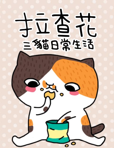 拉查花三猫日常生活