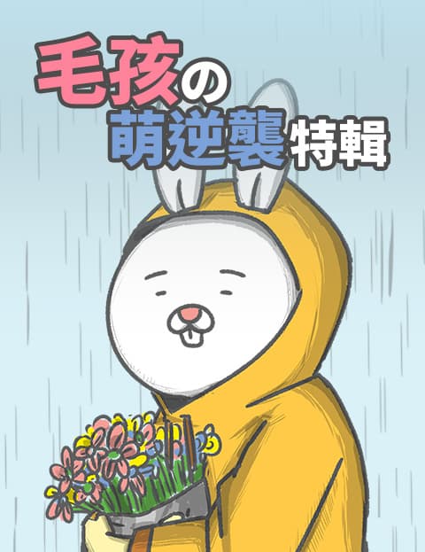 毛孩の萌逆袭特辑