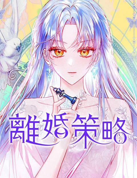 离婚策略