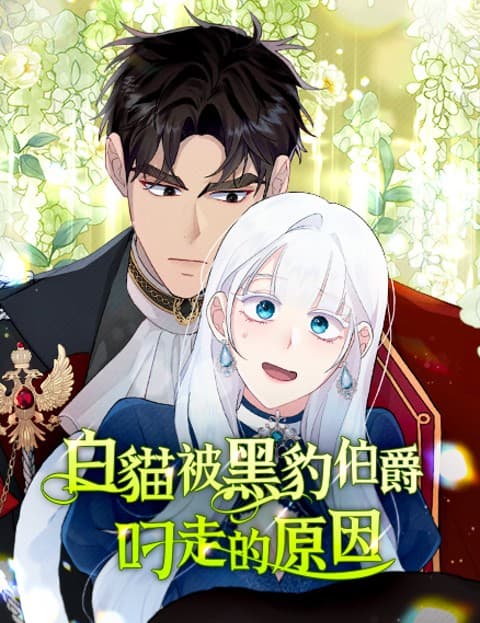 白猫被黑豹伯爵叼走的原因
